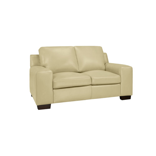 Leather Loveseats You'll Love in 2023 Wayfair Canada